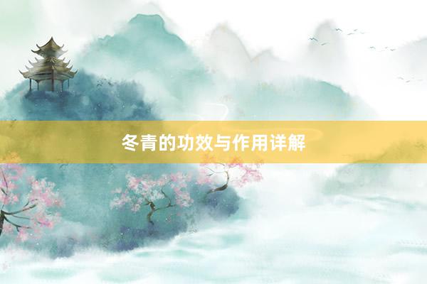 冬青的功效与作用详解