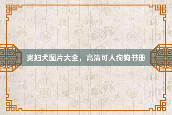 贵妇犬图片大全，高清可人狗狗书册