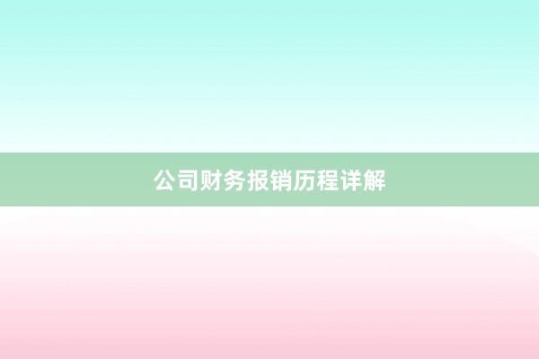 公司财务报销历程详解